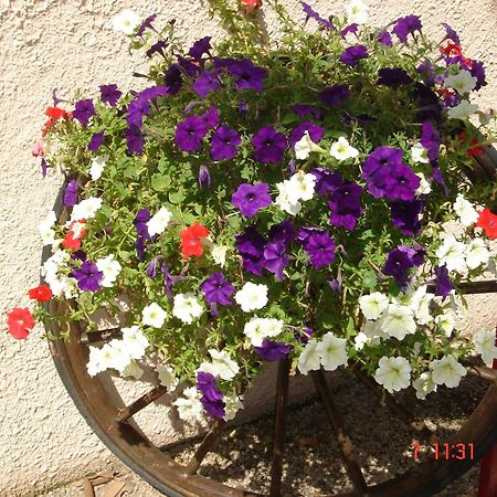 Mas-Blanc-des-Alpilles Hotel Mistral מראה חיצוני תמונה