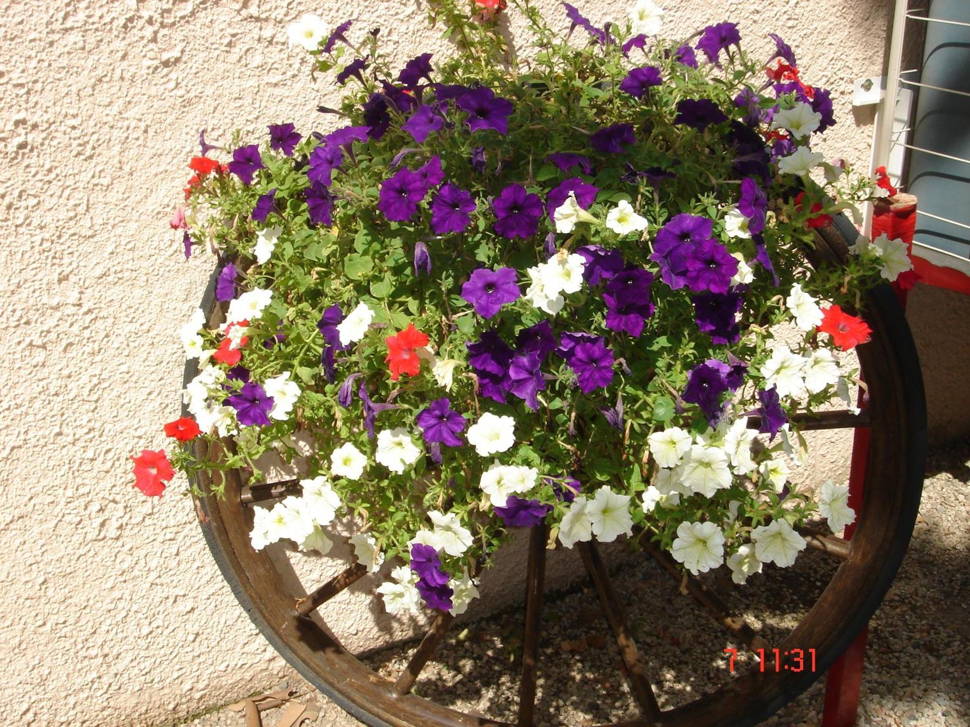 Mas-Blanc-des-Alpilles Hotel Mistral מראה חיצוני תמונה