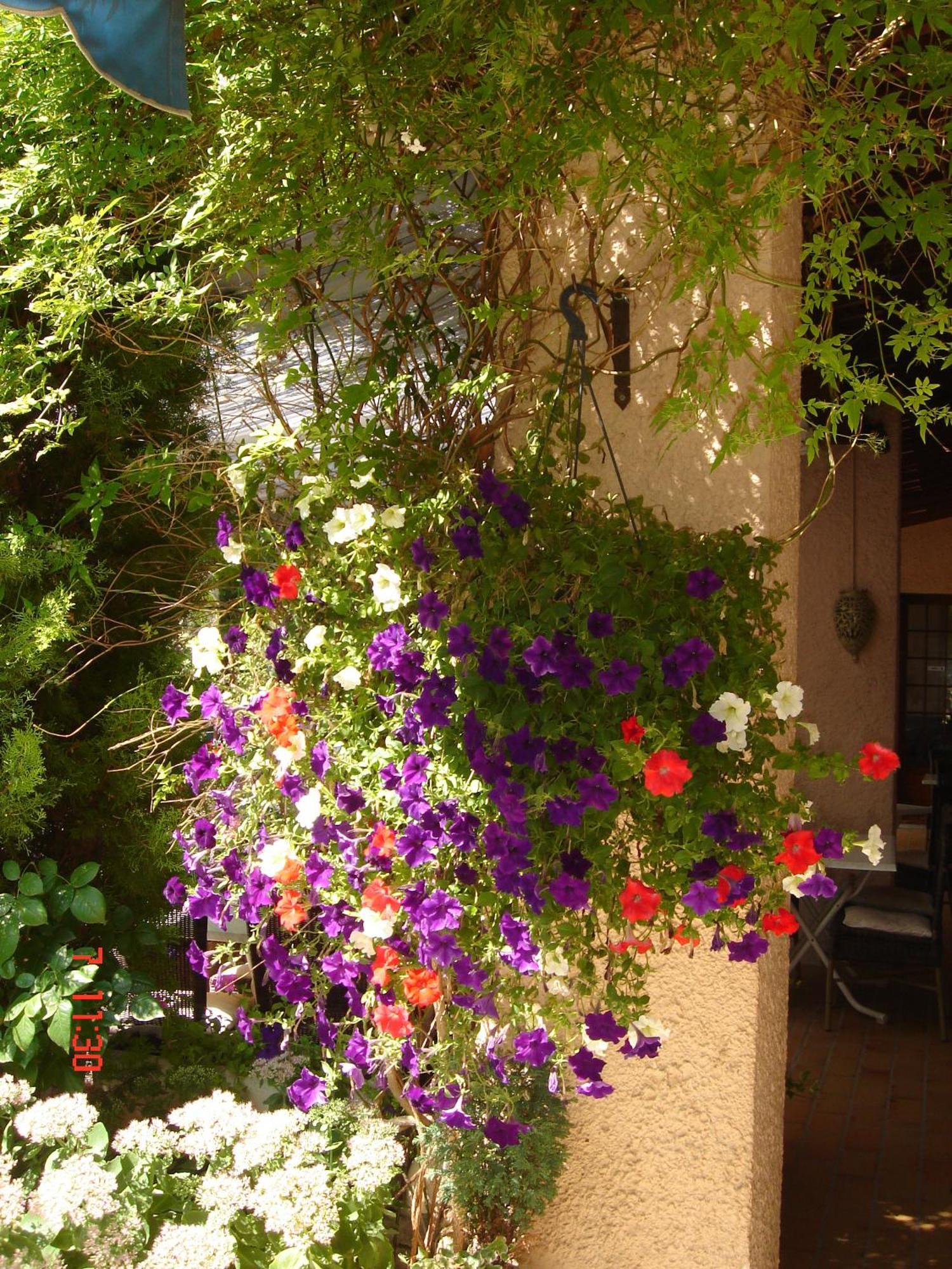 Mas-Blanc-des-Alpilles Hotel Mistral מראה חיצוני תמונה